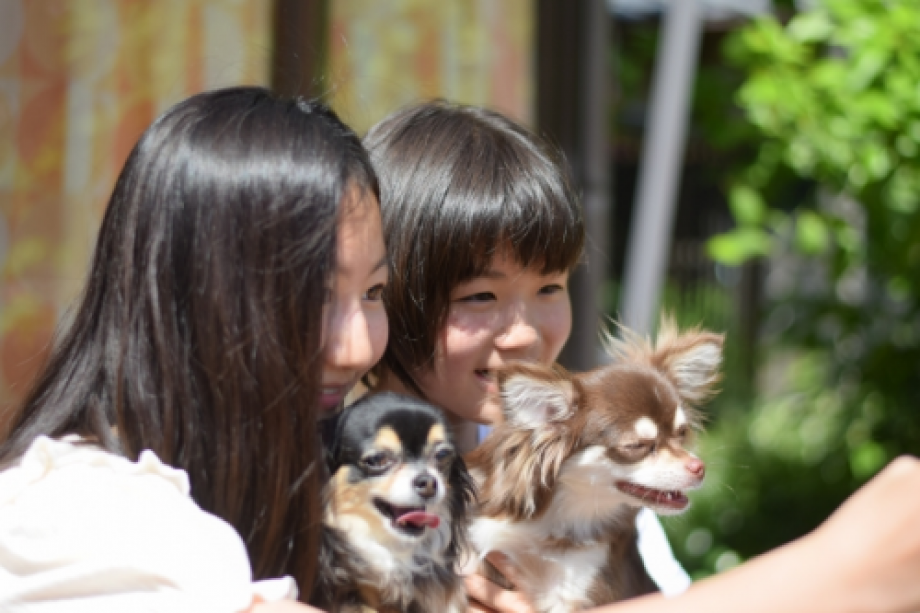 大切なワンちゃんと素敵なひと時を