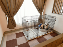 【二段ベッド】ペット同伴可能★ゲージ完備♪安心してお過ごしいただけます