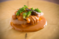 【1泊2食】≪Special Meal≫ ～每日1組限定～ 專屬餐廳享用極致美味的「主廚創意料理」【AUBERGE VILLA SOSO -楚楚-】