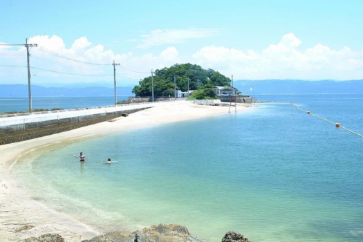 【夏の鮮魚】真蛸（マダコ）・黄金の鱧（ハモ）・車エビ！季節の鮮魚を味わう＜全室オーシャンビュー＆夕朝食個室＞