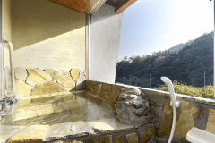 【半露天風呂付き客室】 『夕食・日帰りプラン』20時30分まで