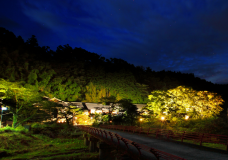 一泊二食通常プラン　＜朝・夕お部屋食＞