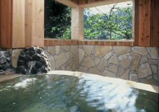 草庵：１０畳＋１０畳（ダブルベッド2台）+１２畳　朝夕食ともにお部屋食