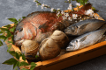 目利きが選び抜いた旬の魚介。その時期でしか味わえない味を大切に、一皿ずつ丁寧に仕立てています。 目利きが選び抜いた旬の魚介。その時期でしか味わえない味を大切に、一皿ずつ丁寧に仕立てています。