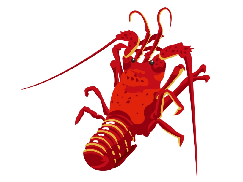 ＜公式HPベストレート！！＞【 伊勢海老プラン】夕食に1人1尾ずつ伊勢海老のお造り★朝食は伊勢海老の頭付きのお味噌汁★全客室露天風呂付き＆貸切風呂無料