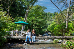 敷地内を流れる渓流一休み