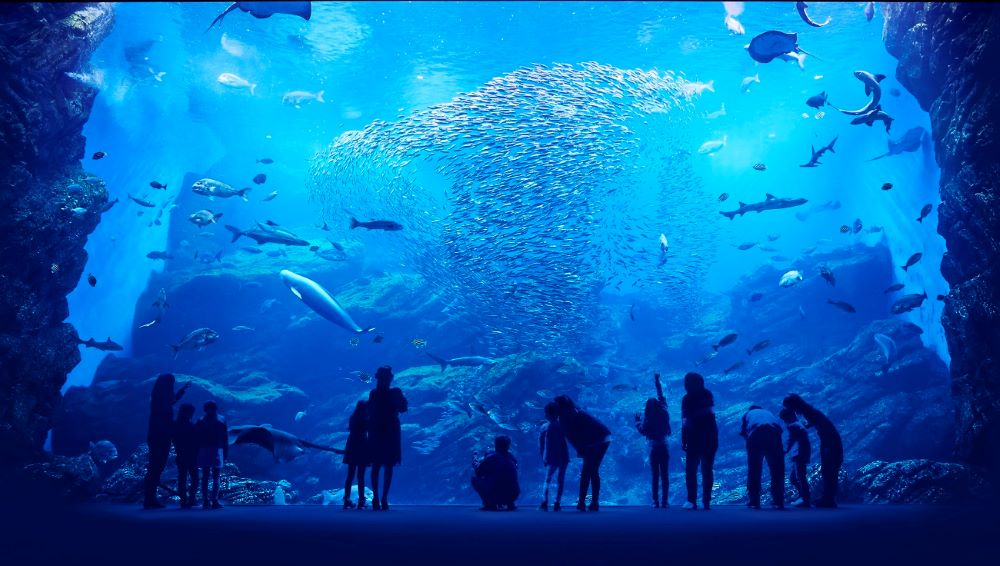 仙台うみの杜水族館の入館チケット付プラン♪ 仙台うみの杜水族館の入館チケット付プラン♪