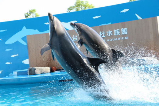 仙台うみの杜水族館の入館チケット付プラン♪