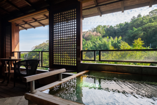 Room type "F" Toson (New bldg. Hanare, open-air bath, sauna) with hot springs, directly from the sou Room type "F" Toson (New bldg. Hanare, open-air bath, sauna) with hot springs, directly from the sou