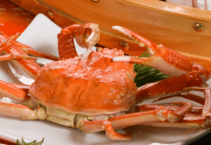 【ボイルズワイ蟹姿】カニの旨みがシンプルにぎゅっとつまっています