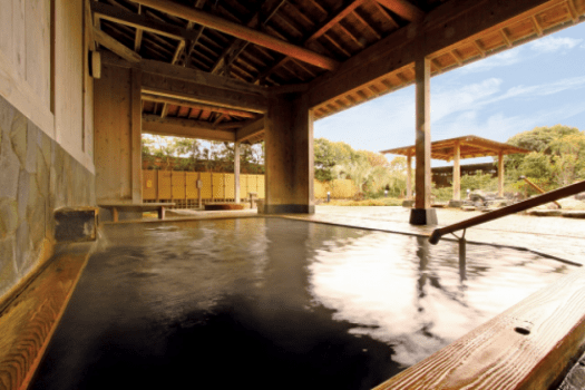 日帰り個室プラン　(客室利用最大４時間：寝具なし)