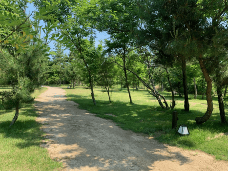 ソロ区画プラン(サン大淀サイト)