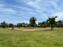 オートキャンプフリーサイト