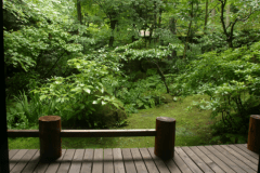 桐の家　　　　　　　　　　10帖＋囲炉裏