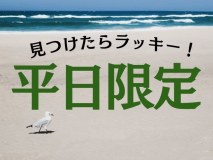◆平日限定プラン