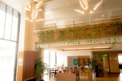 【お手軽旅】　シンプルステイ♪リーズナブルに素泊まりプラン