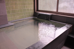 セミスイート游