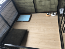 【禁煙】【旅館さかや】【ペット(ワンちゃん)同伴専用】【離れ棟】寿命延B