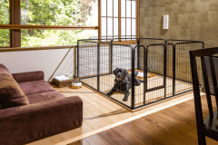 ★【ペット専用（ワンちゃん）】【ベストレート保証】【離れ】【滞在型リゾートコンドミニアム】温泉街に住むような宿泊プラン