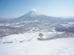 【広大なスキー場】羊蹄山を望む広々としたスキー場です