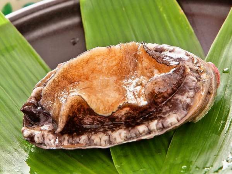 近海で獲れたアワビをご用意致します 近海で獲れたアワビをご用意致します