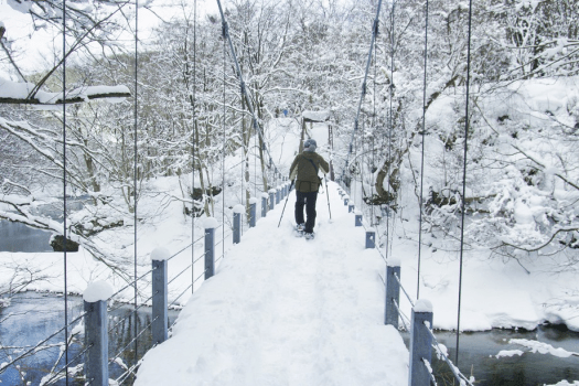 【体験型】スノーシューで巡る冬の湯瀬渓谷（ガイド・スノーシューレンタル料込）～1泊2食付～