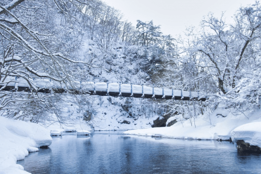 【体験型】スノーシューで巡る冬の湯瀬渓谷（ガイド・スノーシューレンタル料込）～1泊2食付～