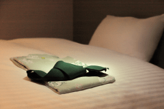 【新客室】コンパクトシングル 一例