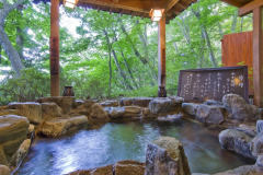 [Room without Meals] Enjoy Ikaho and Relax with Onsen Plan *Check-in available until 23:00