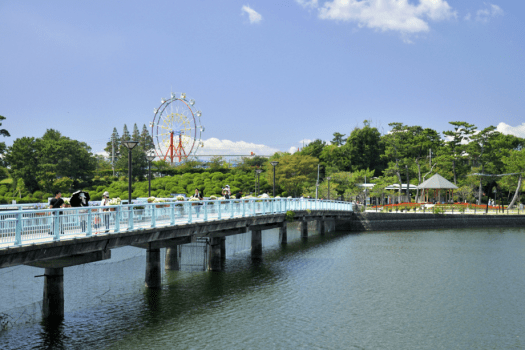 直ぐ傍に広がるときわ公園。広大な敷地で、お散歩コースにも最適です 直ぐ傍に広がるときわ公園。広大な敷地で、お散歩コースにも最適です