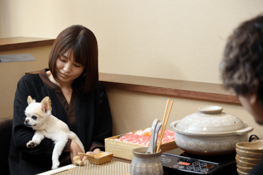 わんちゃんと一緒に、お部屋でお食事ができます。