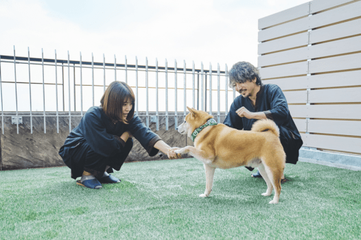 テラス付のお部屋では、わんちゃんと遊べます。（テラス付客室は、201/空　202/花　203/太陽　205/月　206/星です）また、客室によってテラスの広さが違います。