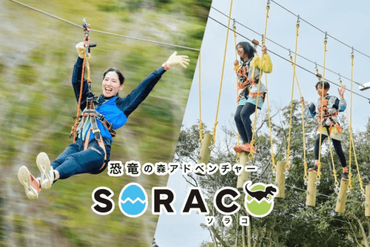 「恐竜の森アドベンチャーSORACO」アスレチック施設(アドベンチャーサークル&ジップライン)【15:00 ~ 16:30(90分)】事前予約制 「恐竜の森アドベンチャーSORACO」アスレチック施設(アドベンチャーサークル&ジップライン)【15:00 ~ 16:30(90分)】事前予約制