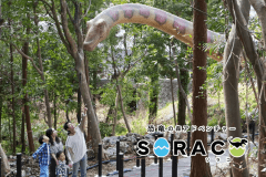 2026年山口県宇部市の複合レジャー施設「ココランド」内に、動く恐竜たちが暮らす森を舞台にした、アウトドアアスレチック体験アドベンチャー施設が誕生！