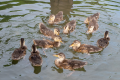 ときわ公園