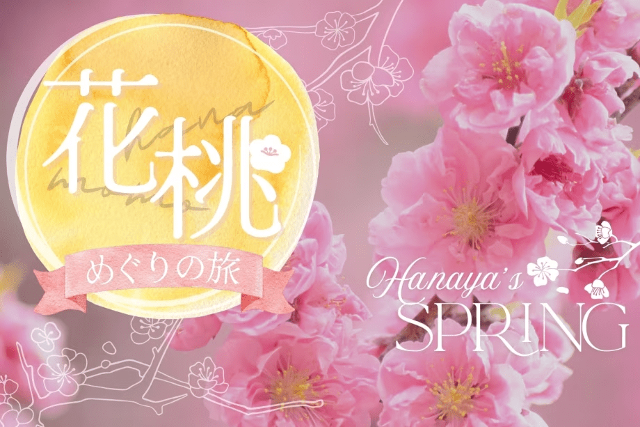 春の自然が運ぶ優しいひとときを、館内でも楽しんでいただけます。