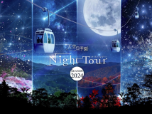 ◆日本一の星空◆「日本一星空がきれいな場所」に選ばれた阿智村にてガイドと共に、日本一の星空を観察★