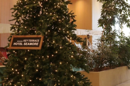 ツリーがロビーでお出迎え