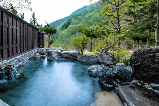 ＜基本プラン＞お部屋での滞在もお食事も、お休みの時間もワンちゃんとずっと一緒♪／定番！夕朝食付き