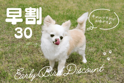 ＜早割30／平日限定＞30日前のご予約で＠1100円OFF！お得な「ワンちゃん旅」なら「早期割」♪夕朝食付き