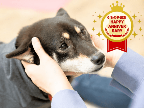 ワンちゃんとの絆がぐっと深まる！家族になった日を祝おう♪＜うちの子記念日プラン＞お祝い特典付き