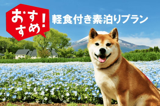 ＜軽食付き素泊まりプラン＞ワンちゃん一緒に自由気ままな素泊まりプラン／満天の星空と大自然を体験