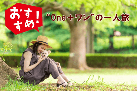 <One+ワンの一人旅>一人旅大歓迎の宿♪ワンちゃんとゆっくり向き合う時間は宝物/1泊2食付/平日限定 <One+ワンの一人旅>一人旅大歓迎の宿♪ワンちゃんとゆっくり向き合う時間は宝物/1泊2食付/平日限定