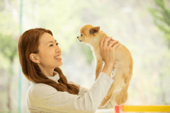 愛犬との大切なひと時をお過ごしください♪今日はお留守番じゃないよ♪