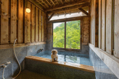 【源泉かけ流し風呂＆屋外ドッグラン付き客室】わんちゃんと混浴ＯＫ！一緒に入れる天然温泉１００％のお風呂