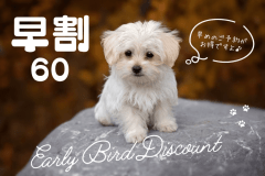 ＜早割60／平日限定＞60日前のご予約で＠2200円OFF！お得な「ワンちゃん旅」なら「早期割」♪夕朝食付き