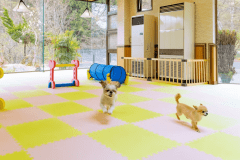 ＜素泊まりプラン＞ワンちゃんと一緒に自由気ままな隠れ家的温泉ステイ／満天の星空と大自然を体験