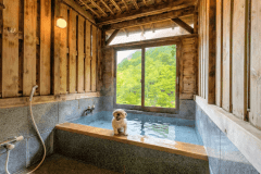 ■部屋■＜ワンちゃんと一緒に温泉♪＞特別室／10畳和室＋ベッドルーム／源泉かけ流し風呂／屋外ドッグラン／禁煙