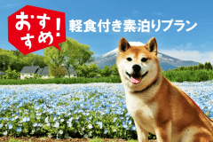 ＜軽食付き素泊まりプラン＞ワンちゃん一緒に自由気ままな素泊まりプラン／満天の星空と大自然を体験