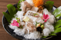 白烏賊のお造り